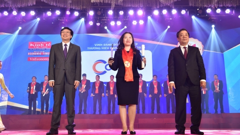 Vietnam Strong Brand 2019